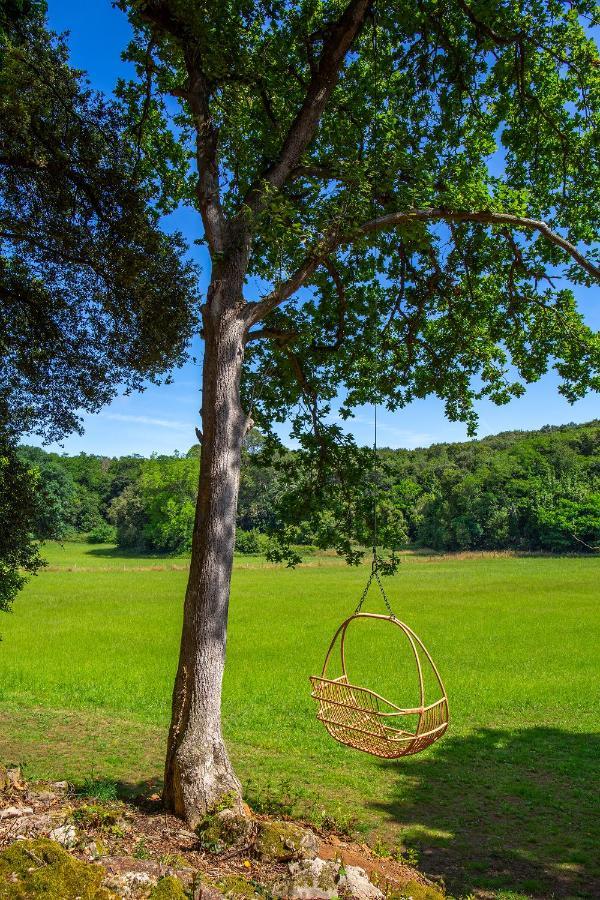 Vibe Luxury Cabins Arnuero Ngoại thất bức ảnh