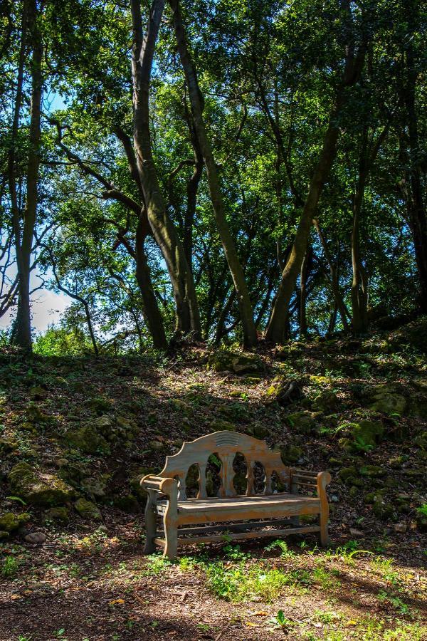 Vibe Luxury Cabins Arnuero Ngoại thất bức ảnh