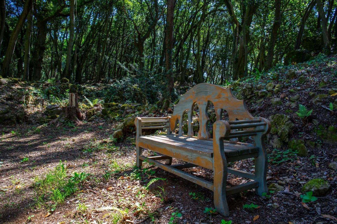 Vibe Luxury Cabins Arnuero Ngoại thất bức ảnh