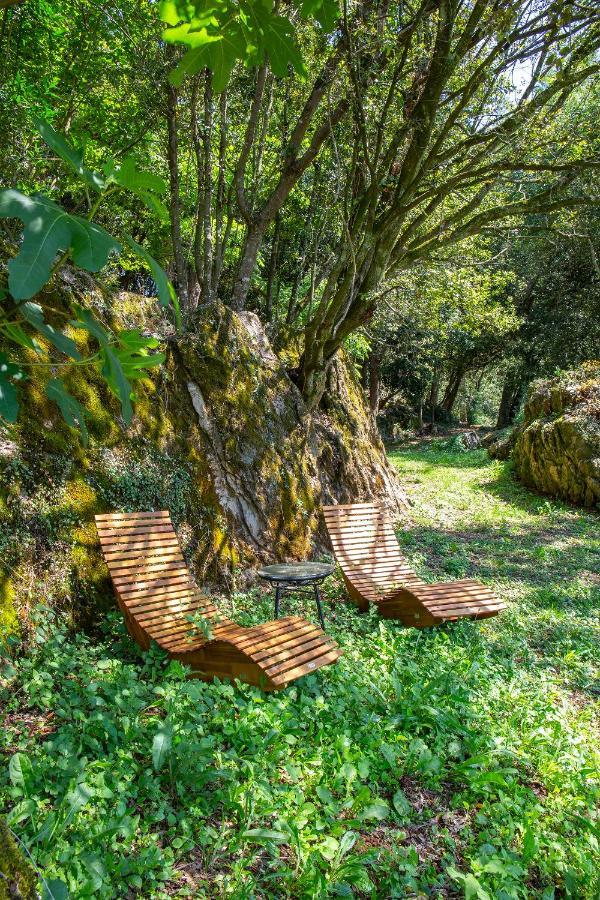 Vibe Luxury Cabins Arnuero Ngoại thất bức ảnh
